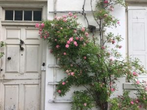 Wyck House front door and pink flowers 