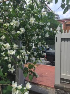 Fence and flowers outside of Wyck House