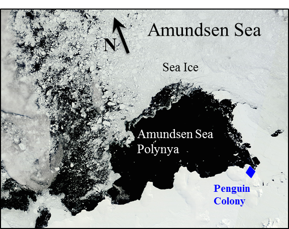 Map of Amundsen Sea